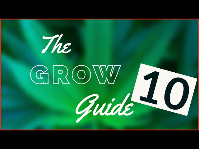 Indoor Growing Guide [10] - die richtige ERDE