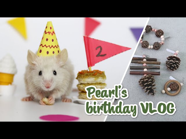 Celebrating Pearl's 2nd Birthday with cake & new toys! | VLOG