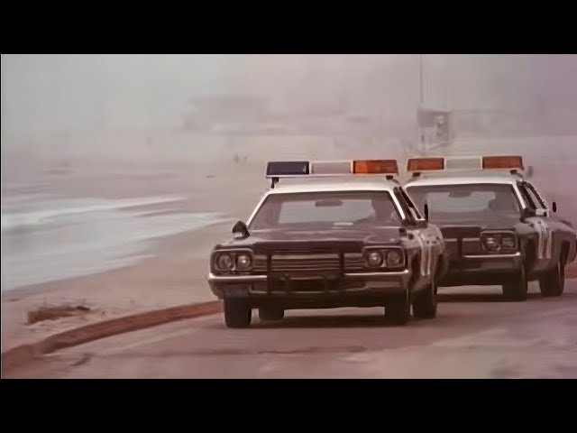 Double Nickels 1977 | Action, Crime | Jack Vacek, Trice Schubert | Full Movie | Subtitles