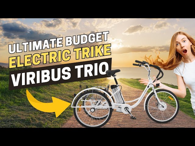 VIRIBUS TRIO PLUS BUDGET E-TRIKE REVIEW
