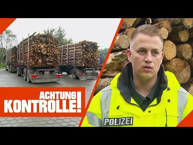 GEFÄHRLICH! Holz-Transporter müssen in gutem Zustand sein! | Kabel Eins | Achtung Kontrolle