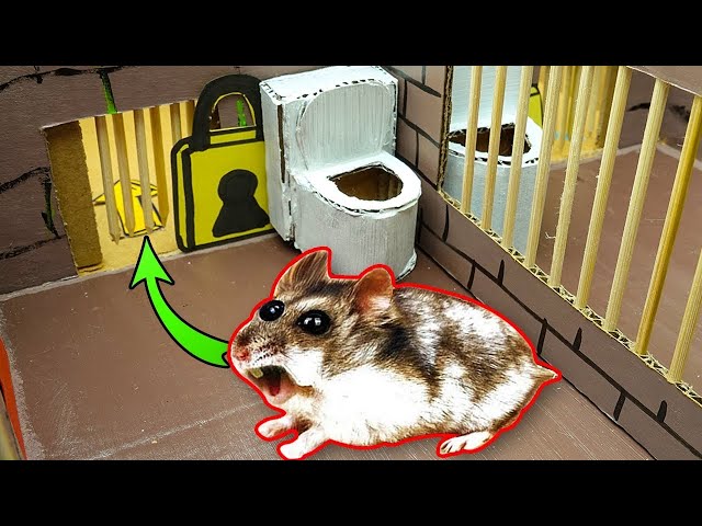 🐹 Escape maze with Traps hamster Police Pets🐹 in Hamster Stories #3