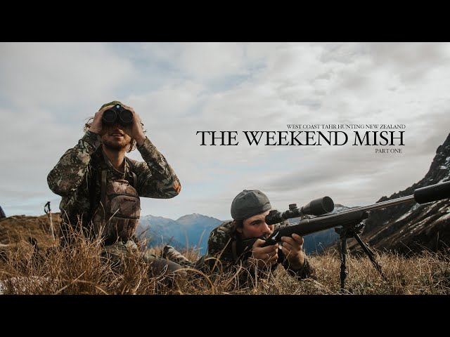 Remote New Zealand Mountain Hunting - West Coast - Multiple Bulls Down...