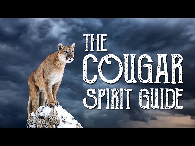 Cougar Spirit Guide - Ask the Spirit Guides Oracle - Totem Animal, Power Animal - Magical Crafting