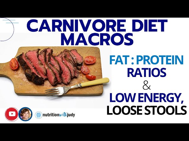 Carnivore Diet Macros: Protein or Fat? Low energy and what it can mean.