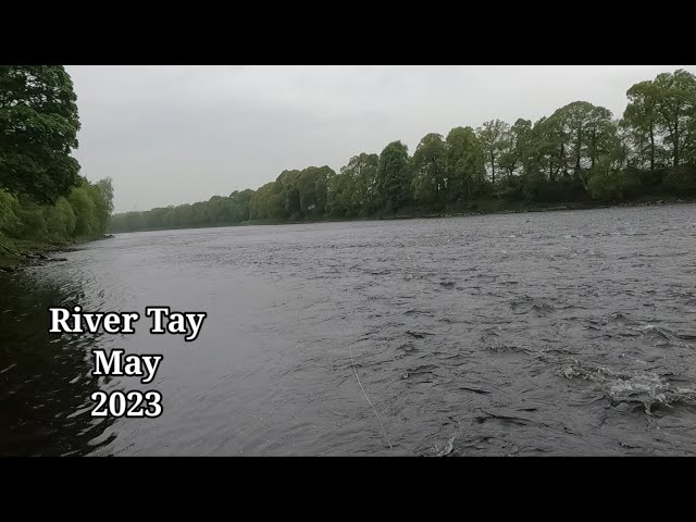 Salmon Fishing River Tay Scotland, first outing for a couple of months
