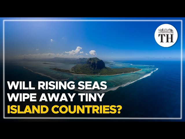 Will rising seas wipe away tiny island countries? | The Hindu