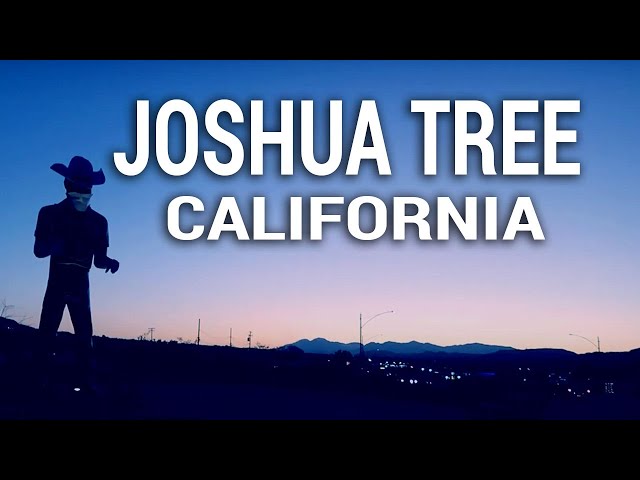 Sunset Drive to Joshua Tree National Park (DRIVE AROUND) | Travel Snacks