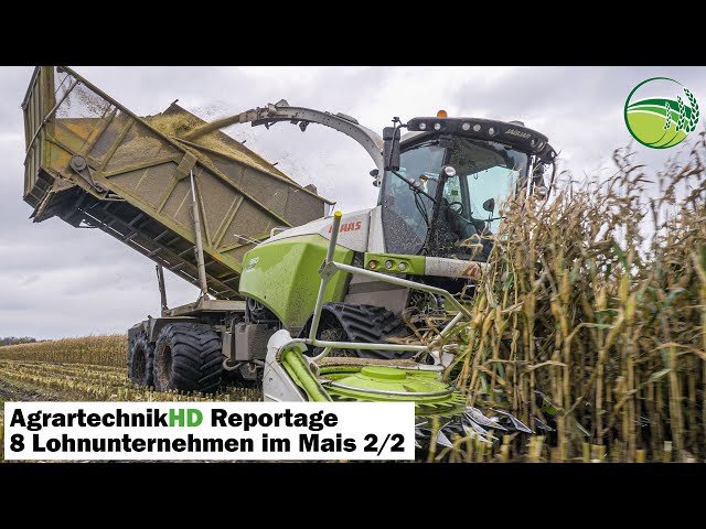 Chopping maize report 2/2 | 10 forage harvester from John Deere, Claas, New Holland