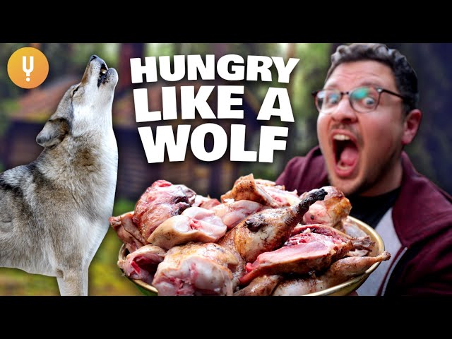 I Ate Like A Wolf For A Day