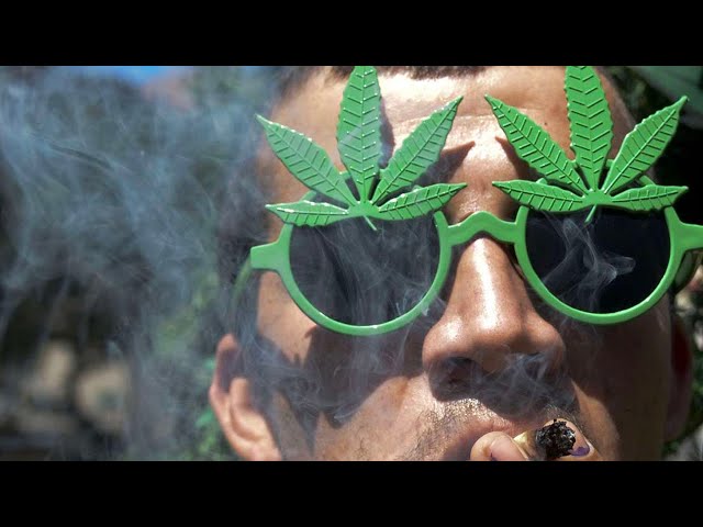 La France doit-elle légaliser le cannabis comme en Allemagne ?
