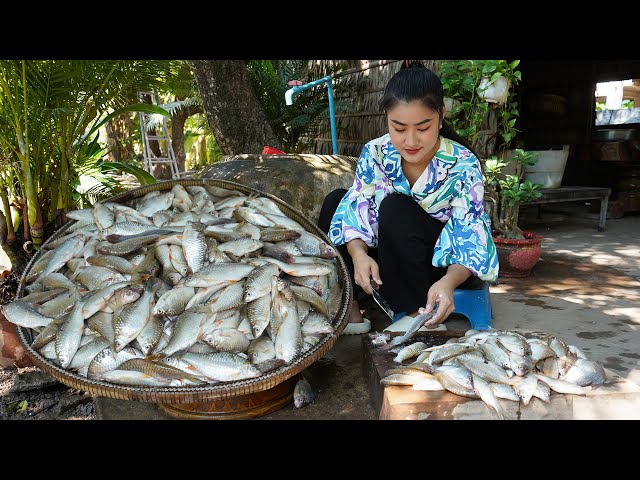 '' Freshwater fishes ''Mommy chef in countryside cooking 4 recipes with fishes - Countryside life TV