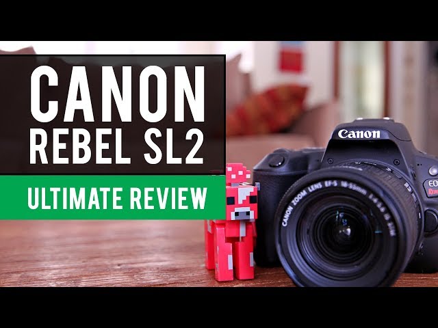Canon SL2 EOS Rebel Camera (200d): Ultimate Review
