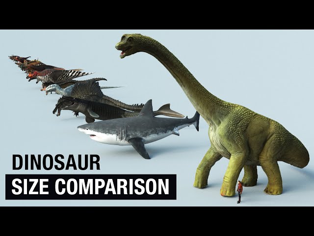 Dinosaurs and Prehistoric Animals Size Comparison in 3D!