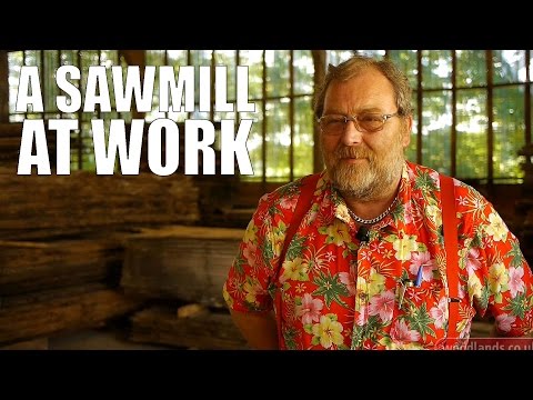 A Sawmill at Work