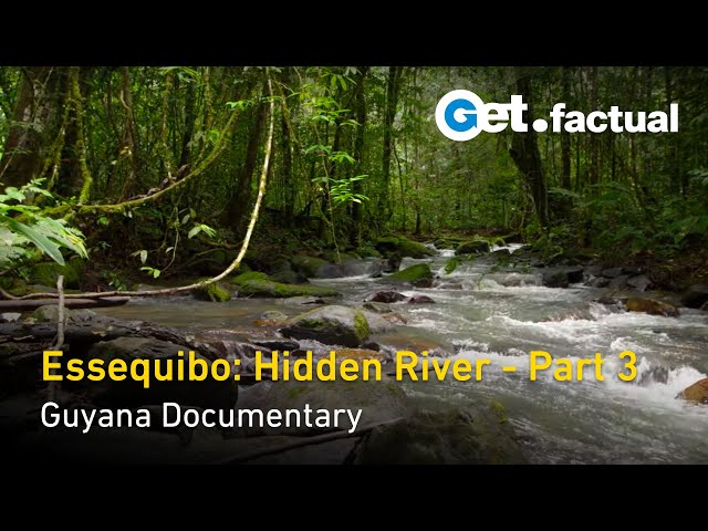 Essequibo: Hidden River - The Mysterious Source | Guyana Documentary, Part 3/3