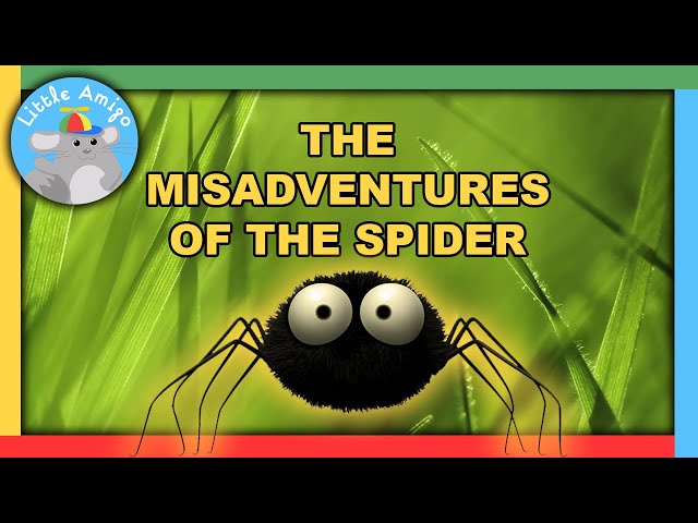 Minuscule | Best of the Spider! 🕷️ | Compilation |  Little Amigo