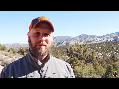 Nevada High Desert Day Hike: Learning As We Go | Tracking, Scorpion Snack, Pine Cones, And More