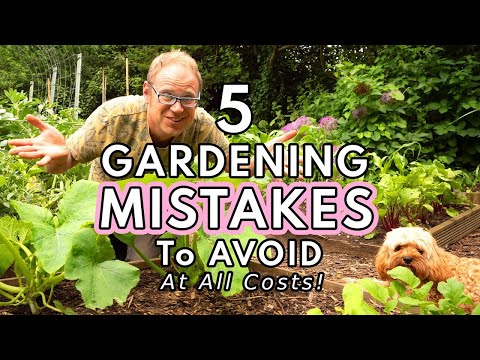 New to Gardening? Start here!