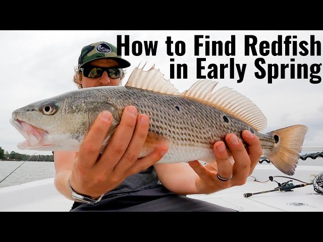 How to Catch Redfish in Early Spring - Fishing VLOG (TIPS and HOW TO)