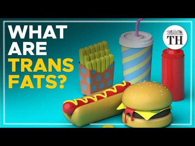 What are trans fats?