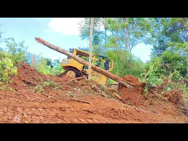 Increasing the Efficiency of D6R XL Bulldozers for Palm Oil Clearing in Mountain Environment