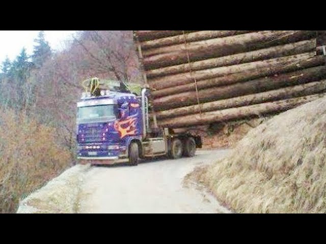 Amazing Dangerous Logging Wood Truck Operator Skills - Fastest Big Tree Felling Skill With Chainsaw