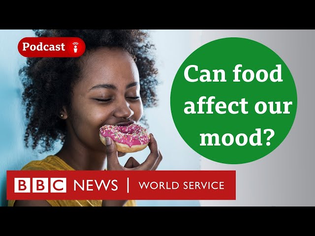 Is there a link between our gut and mental health? - CrowdScience podcast, BBC World Service