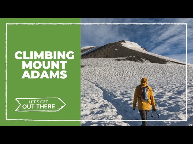 Explore the wilderness of Mount Adams