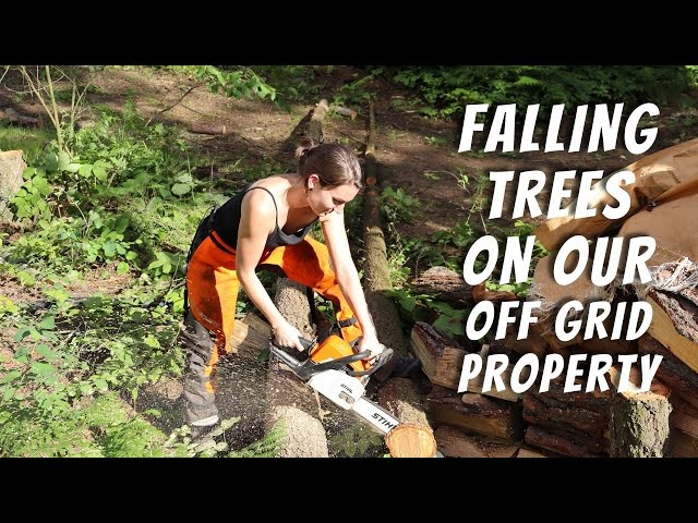 Falling Trees Near Our Soon To Be Home (And A Clumsy Chicken) | Build Series 02
