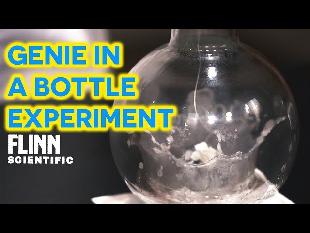 Genie in a Bottle Experiment