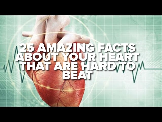 25 Amazing Facts About Your Heart That Are Hard To Beat
