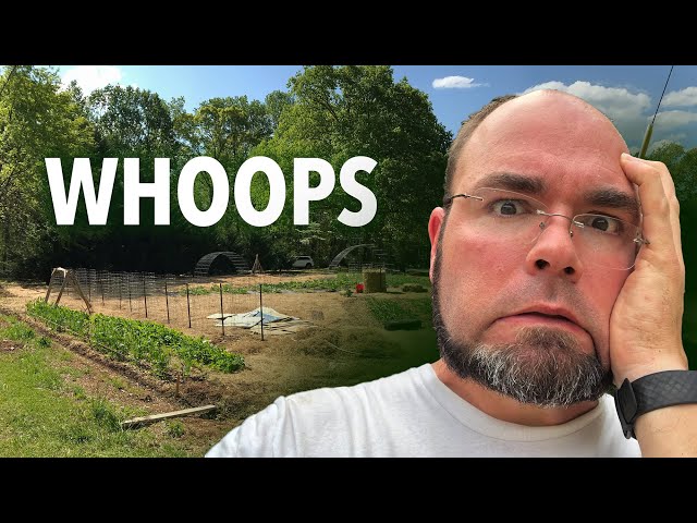 PLEASE DO NOT do a Back to Eden wood chip garden until you watch this!