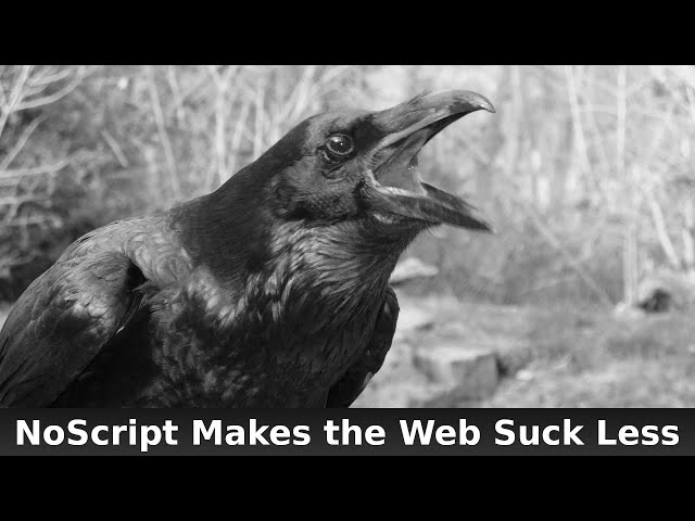 NoScript Makes the Web Suck Less
