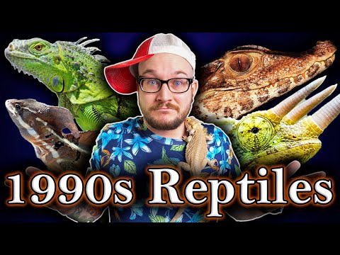 Reptile Decades