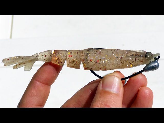 Best Way To Fish Shrimp Lures In The Shallows (And Catch Loads Of Trout)