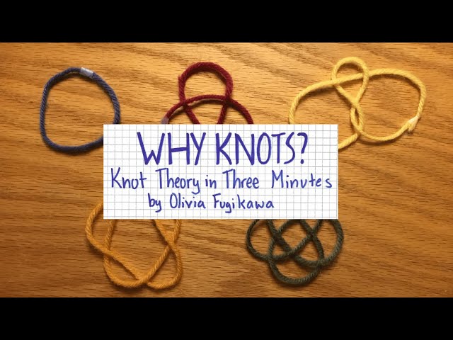 Why Knots? Knot Theory in Three Minutes