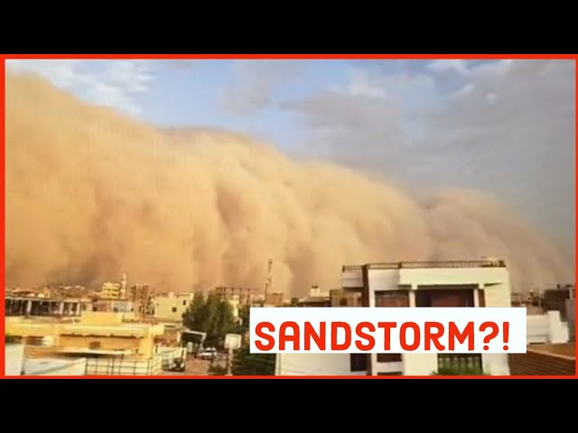 Sandstorm caught on Google Earth?! 🌪️ #shorts #scarytiktok
