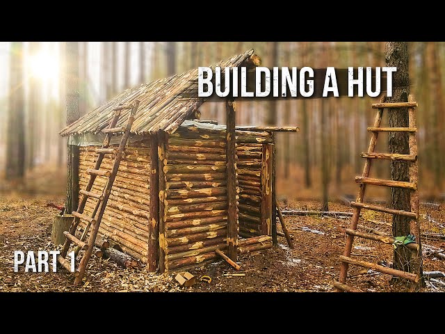 Building a hut in the forest. First experience. Part 1.