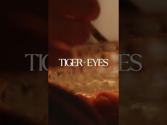 TIGER EYES - PaulK 🐅👁️ available on all streaming platforms