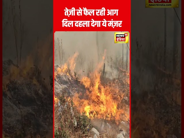 Fire Video : Nainital के जंगलों में आग का ख़ौफ़नाक रूप | Uttarakhand | Forest Fire | N18S | #shorts