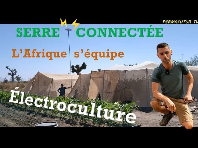 SERRE connectée : L'AFRIQUE s'équipe ÉLECTROCULTURE ⚡🌱🌻 #agroecologie