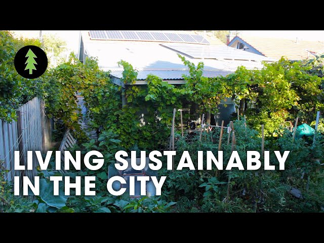 Sustainable City Living on 1/10th of an Acre | Degrowth in the Suburbs
