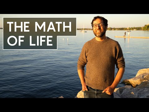 How Geometry Shapes Our Lives