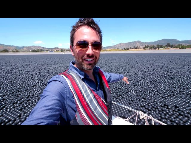 Warum sind 96.000.000 schwarze Bälle in diesem Reservoir?