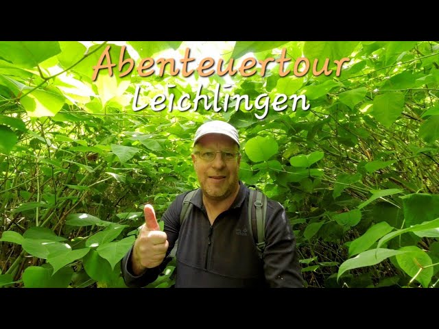 Abenteuertour Leichlingen von Mr. Pfade - Dschungelpfade an der Wupper im Bergischen Land #wandern