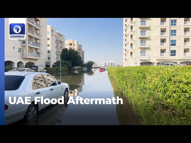 Dubai Flood: UAE Acts To Contain Spread Of Water Illnesses