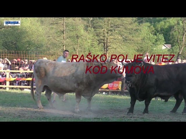 #ŠAMPIONSKA #Vitez- Raško Polje kod #Kumova-14. 04. 24. g.
