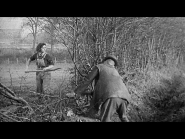 Hedging (1942)