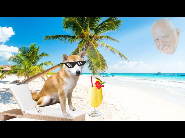 Doge Goes to 5-Star Resort ⭐⭐⭐⭐⭐